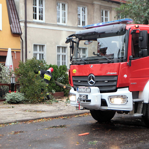 Silny wiatr szaleje w powiecie. W Kamieniu Pomorskim drzewo runo na ogrodzenie i skuter