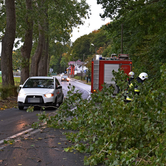 Nadal mocno wieje. Powiat kamieski z kopotami