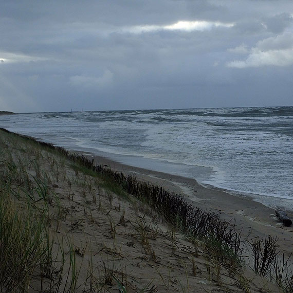 Silny wiatr nie daje za wygran. Prawie 50 interwencji straakw w cigu dwch dni   