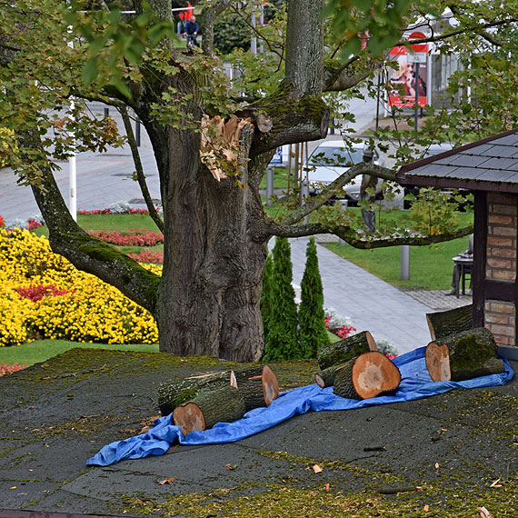 Midzyzdrojska informacja turystyczna przegraa walk z silnym wiatrem. Popularna Balbinka jest mocno zniszczona