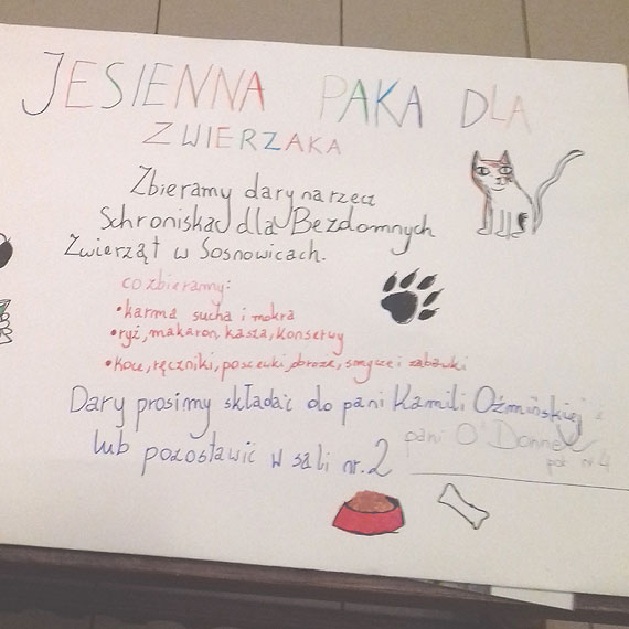 Uczniowie bd zbiera datki dla schroniska dla zwierzt 