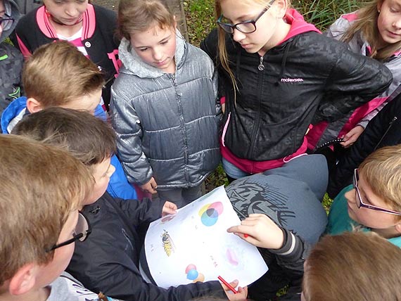 Gra miejska - W pogodni za histori. Odkrywamy tajemnice Golczewa