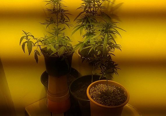 Doz�r dla 18- latki za posiadanie narkotyk�w