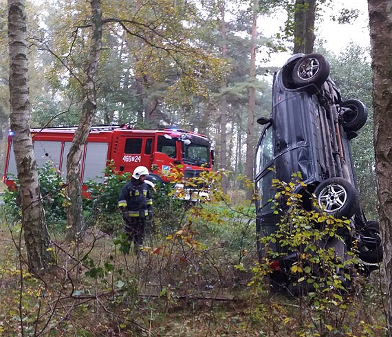 Kolizja na drodze wojewdzkiej 102. Ciemna honda wpada na drzewo