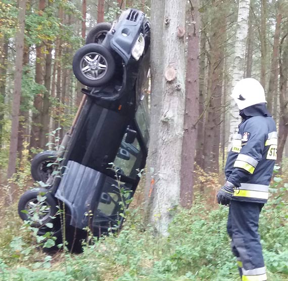 Kolizja na drodze wojewódzkiej 102. Ciemna honda wpadła na drzewo