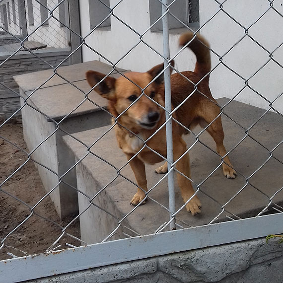 Pierwszy etap pomagania za nami