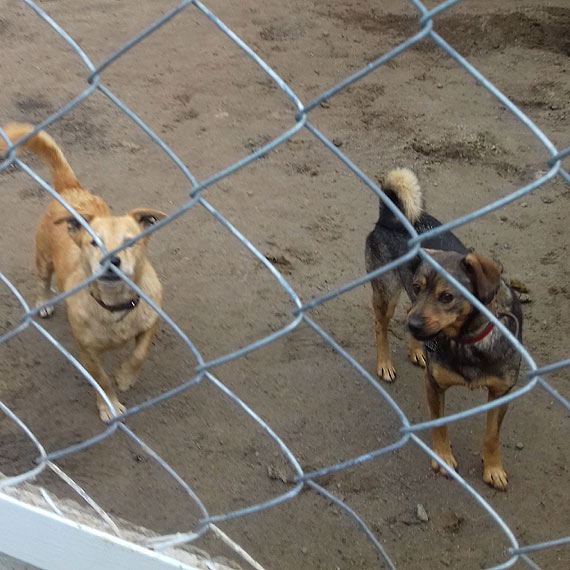 Pierwszy etap pomagania za nami