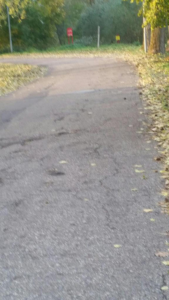 Wasza informacja: Zdeche zwierzta od kilku dni zalegaj na promenadzie