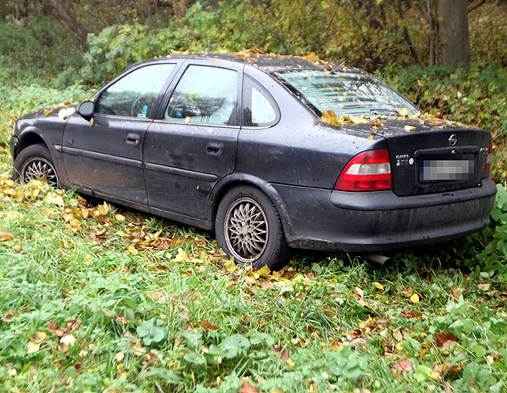  Zwierz wybiego im na jezdni i zjechali do rowu. Policjantom przyznali, e byli pod wpywem narkotykw!