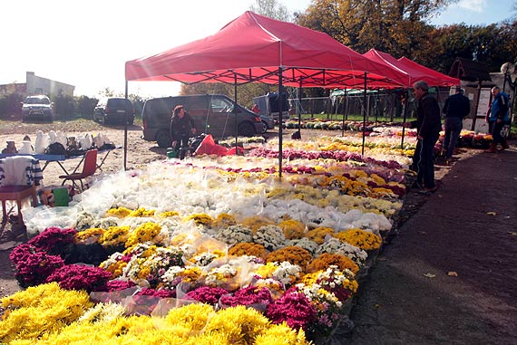 Ju jutro Wszystkich witych