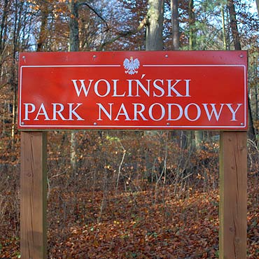 Nawet 500 z�otych mandatu za zbieranie grzyb�w w Woli�skim Parku Narodowym