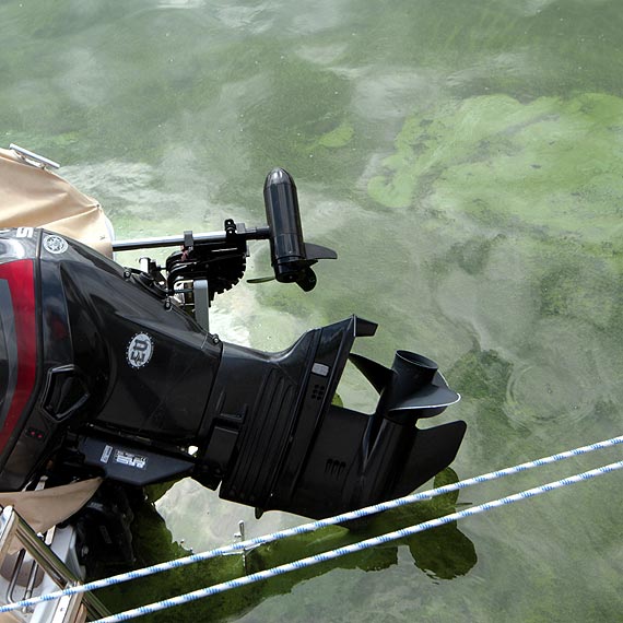 Mieszkaniec: Seria kradziey na woliskiej marinie! upem zodziei pady silniki odzi!   