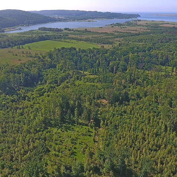 Wstydliwy problem Midzyzdrojw, czyli… dlaczego tu tak mierdzi?