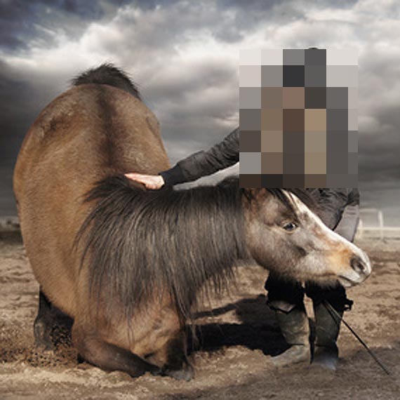 Straacy wycigali konia z rowu! Zwierz ma poamane nogi