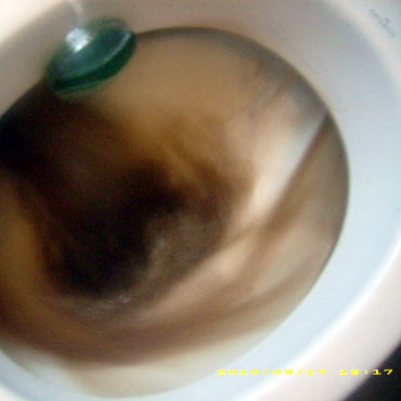 Dziwn�w: Z kran�w leci br�zowa woda