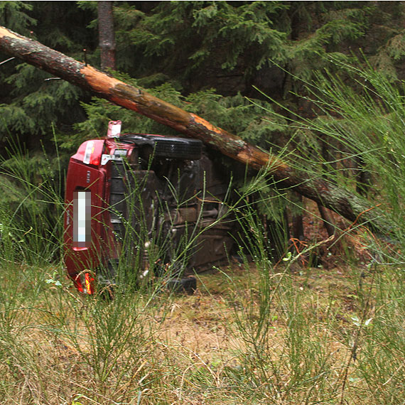Na trasie Wysoka Kamieńska - Parłówko volvo uderzyło w drzewo. Dwoje dzieci w szpitalu