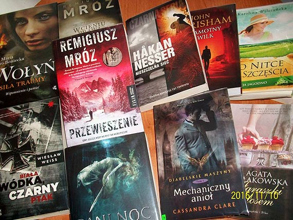 Nowości w golczewskiej bibliotece