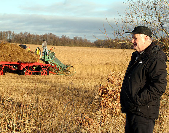 Rozpoczy si trzcinowe niwa w Rozwarowie