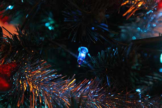 W tym roku w gminie Golczewo wita na bogato