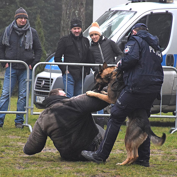 Wielki sukces akcji - Dzie Dawcy Szpiku dla Kamili i innych. W Midzywodziu do bazy potencjalnych dawcw wpisao si ponad 133 osb! Zobacz fotogaleri! 