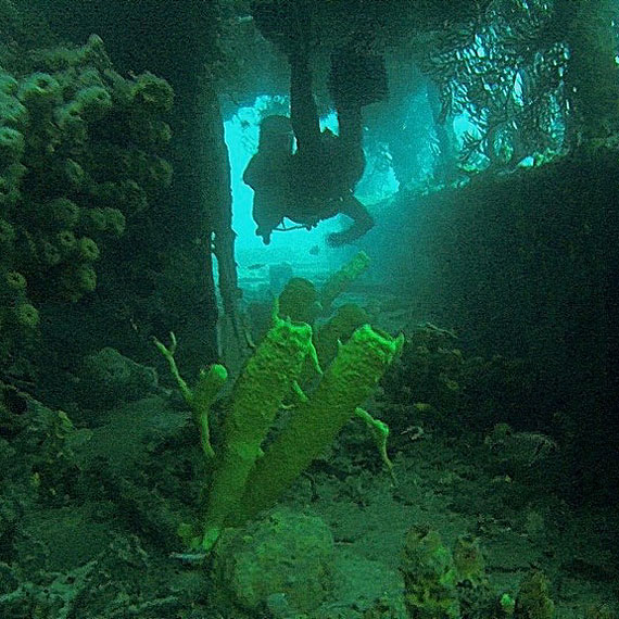 Sputnikiem dookoa Ziemi – Rok na Karaibach