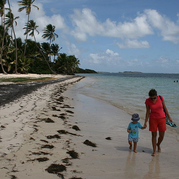 Sputnikiem dookoa Ziemi – Rok na Karaibach