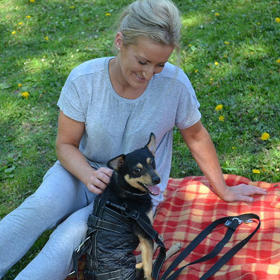 Ze schroniska w Sosnowicach do Stanów Zjednoczonych