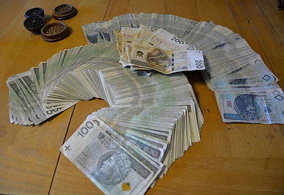 Policjanci zlikwidowali plantacj� konopi