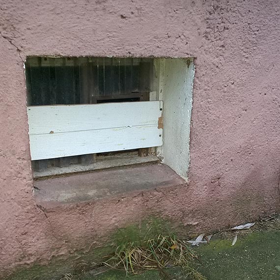 Nie skazujmy ich na zamarznicie