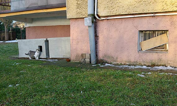 Los zmarznitych kotw nie wszystkim jest obojtny