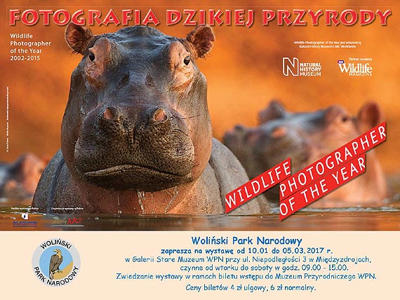 Muzeum Przyrodnicze Woliskiego Parku Narodowego zaprasza na wystaw „Fotografia Dzikiej Przyrody”