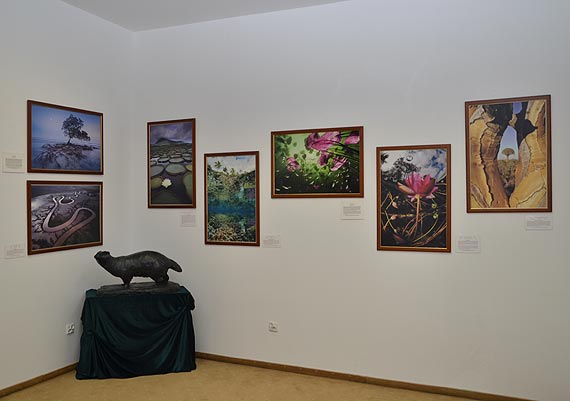 Muzeum Przyrodnicze Woliskiego Parku Narodowego zaprasza na wystaw „Fotografia Dzikiej Przyrody”