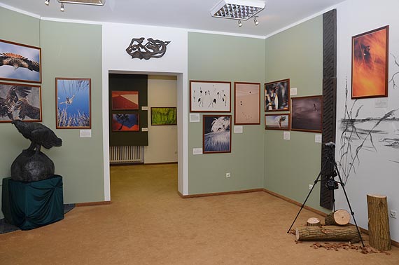 Muzeum Przyrodnicze Woliskiego Parku Narodowego zaprasza na wystaw „Fotografia Dzikiej Przyrody”