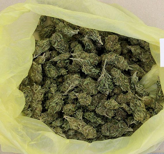 Dozory za posiadanie substancji zabronionych