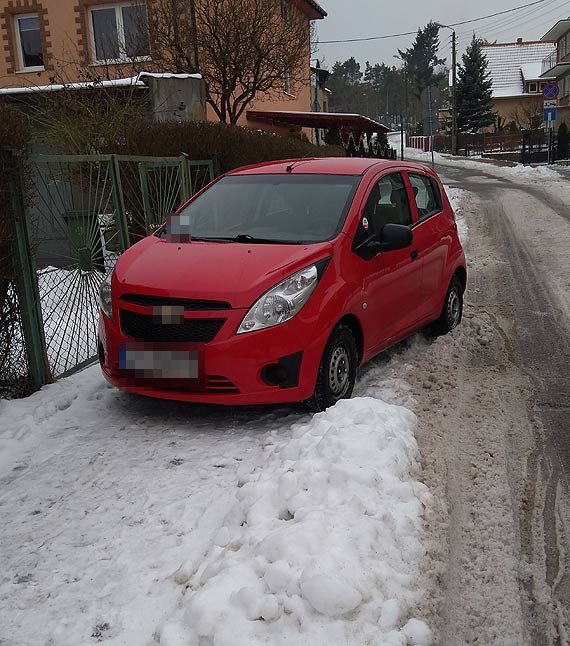 Czytelniczka: Idc z wzkiem, samochd stan mi na drodze!