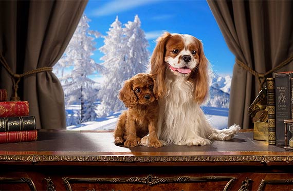 Rozpoczcie Ferii 2017 w Dziwnowie