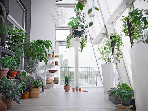 Czy ekologia to wyzwanie dla każdego z nas?