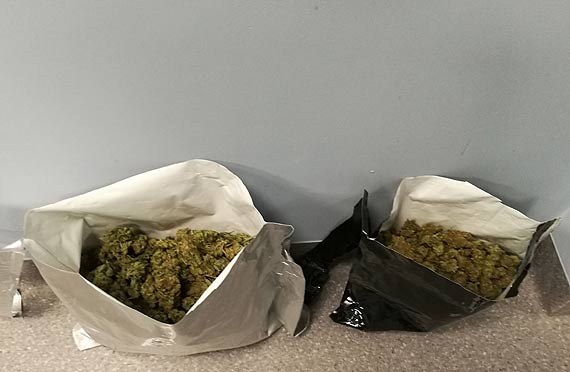 Areszt za posiadanie ponad 1300 gram�w marihuany