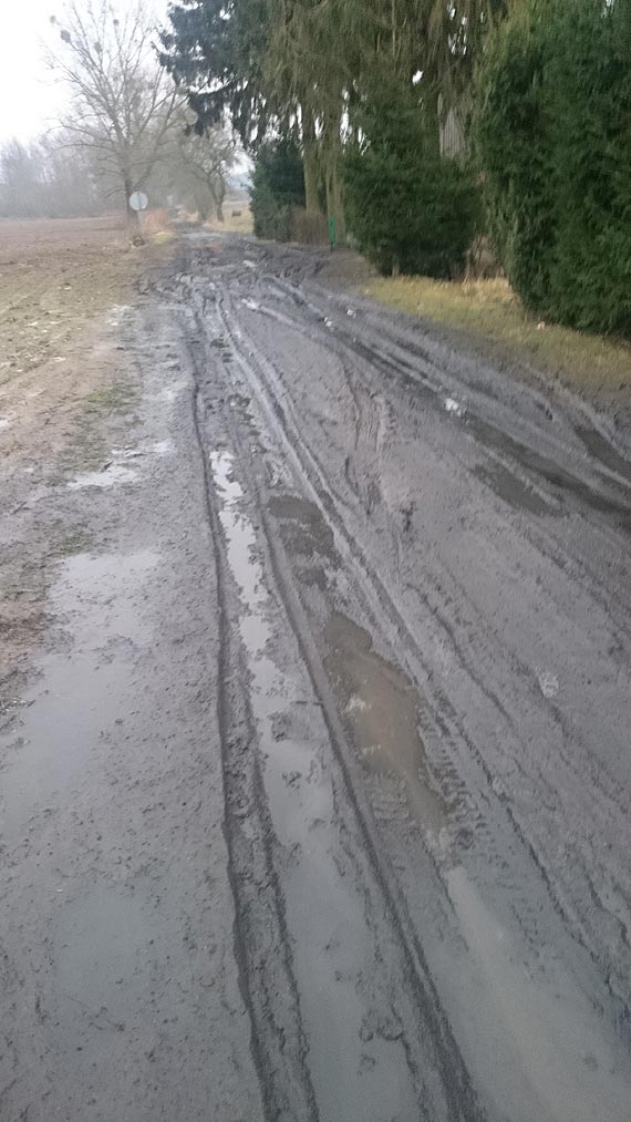 Ulica Leśna w Golczewie to prawdziwa droga przez mękę - tak to widzą jej mieszkańcy