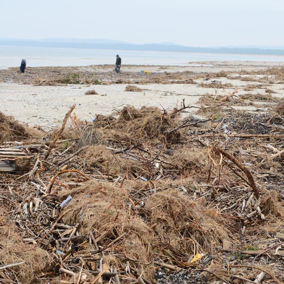 To nie art! Midzyzdrojanie zbieraj wgiel na winoujskiej play!