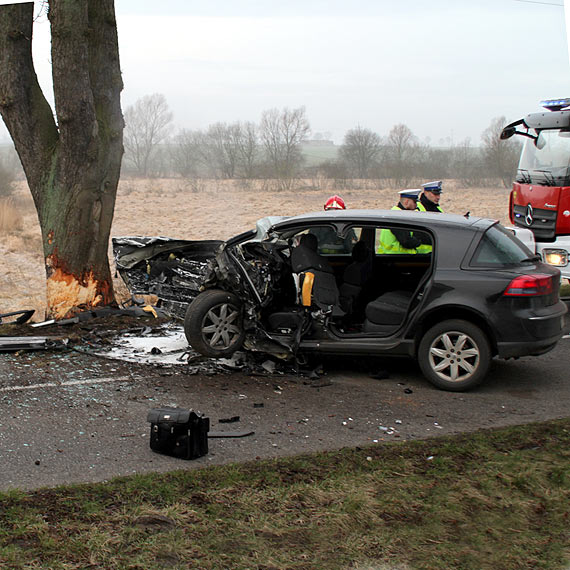 Odpowiedzialność administratora drogi za skutki wypadków?