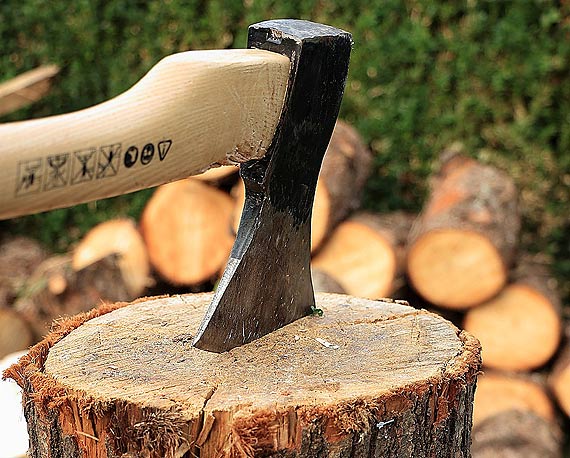 W wierznie na wycink nikt nie narzeka