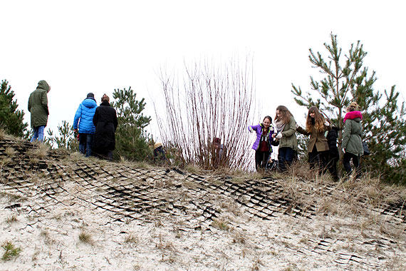 Sprztanie wiata na... wydmach nadmorskich