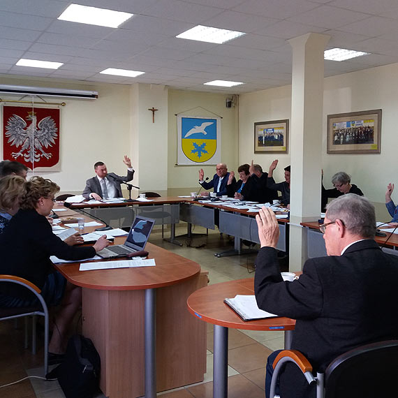 Zobacz ile zapłacisz w Dziwnowie za wycięcie drzewa lub krzewu