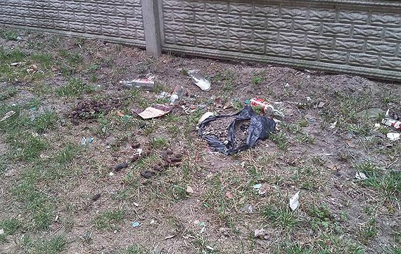 Pejzaż Wolina - psie kupy, śmieci, fajerwerki...