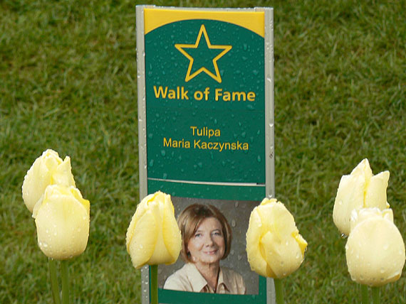 Krlestwo tulipanw otworzyo swoje podwoje!