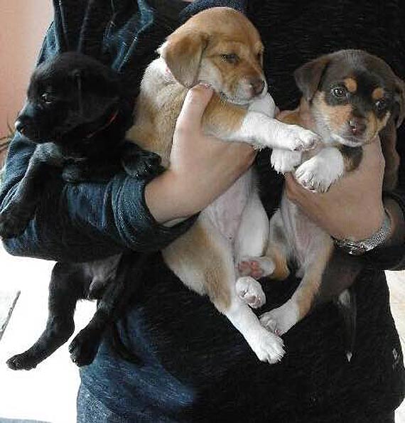 Zabierz mnie do swego domu...