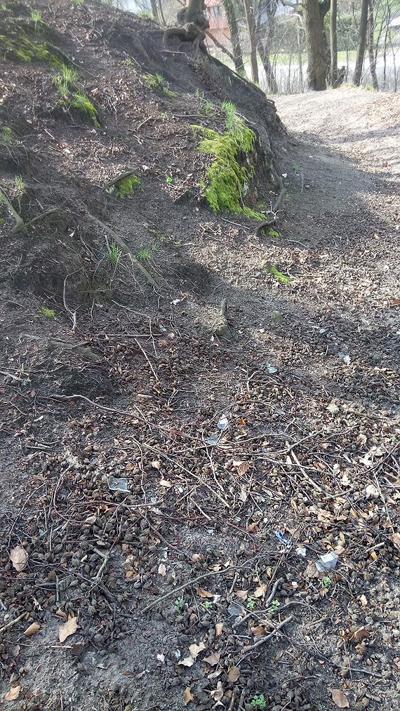 Czytelniczka: Tak mieszkacy Midzyzdrojw powitali wiosn. Szkodzicie nie tylko przyrodzie, ale take innym!