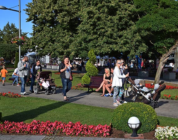 Midzyzdroje uton w kwiatach za prawie 150 tysicy