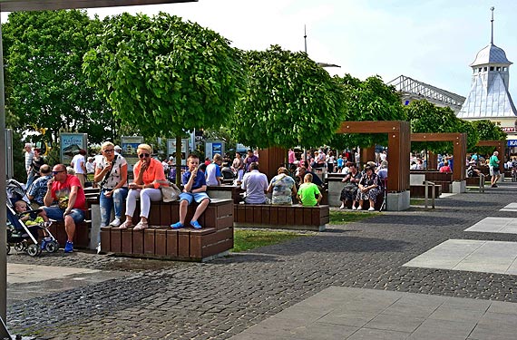 Midzyzdroje uton w kwiatach za prawie 150 tysicy